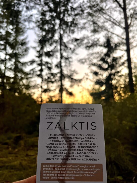 Simboli Dabā 2 • 33 apzinātības kartītes (bez maisiņa)